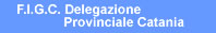 F.I.G.C. Delegazione Provinciale Catania