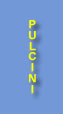 Gruppo Pulcini