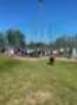 img20250602wa0043_small_small_small.jpg